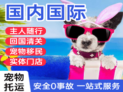 吴川航空快递国际宠物托运 【国
